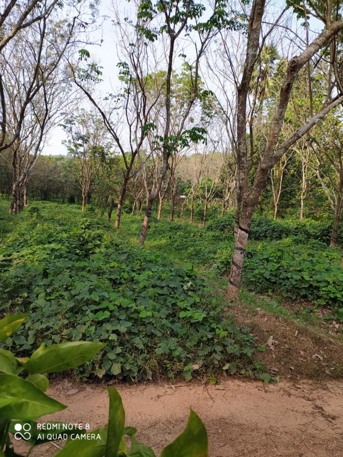 Vanasiri Cottage Dharmastala Bagian luar foto